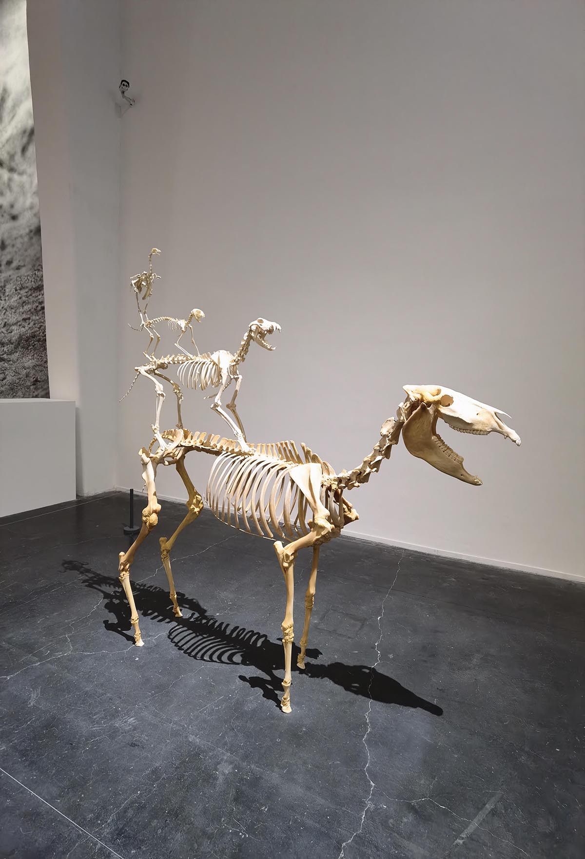 images/art/2021-12-19 莫瑞吉奥卡特兰 最后的审判/1.jpg